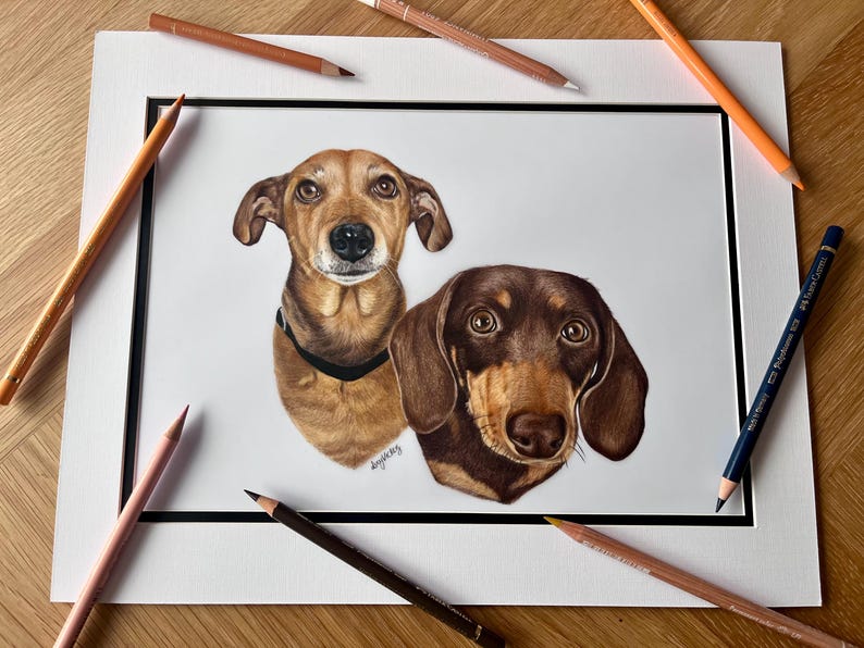 Custom Hand-Drawn Pet Portrait, Coloured Pencil Dog or Cat (A4, A5 or A6) image 9