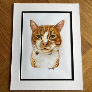 May include: A portrait illustration of an orange and white tabby cat with green eyes, wearing a dark collar. The artwork is set within a black-bordered white matting. The artist's signature, Lucy Vickers, is visible in the bottom right corner.