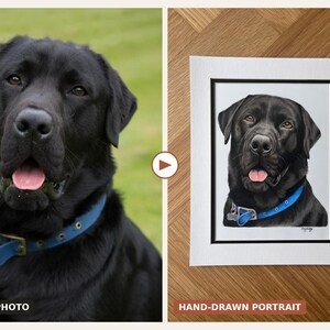 Custom Hand-Drawn Pet Portrait, Coloured Pencil Dog or Cat (A4, A5 or A6) image 3