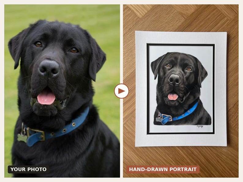 Custom Hand-Drawn Pet Portrait, Coloured Pencil Dog or Cat (A4, A5 or A6) image 3