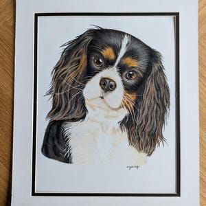 Custom Hand-Drawn Pet Portrait, Coloured Pencil Dog or Cat (A4, A5 or A6) image 1