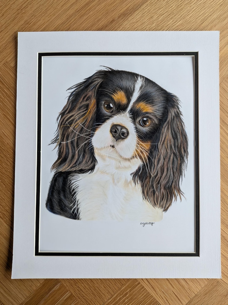 Custom Hand-Drawn Pet Portrait, Coloured Pencil Dog or Cat (A4, A5 or A6) image 1
