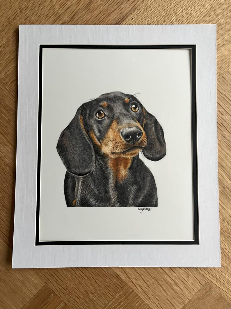 May include: A colored pencil drawing of a black and tan dachshund portrait, centered within a white mat board featuring a thin black inner border. The dog has large brown eyes and is looking upward. The artist's signature is visible at the bottom.