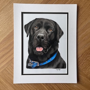 May include: A detailed portrait drawing of a black Labrador retriever with brown eyes and an open mouth showing a pink tongue. The dog wears a bright blue collar with a silver buckle and a small tag. The artwork is framed in a white mat with a black border.