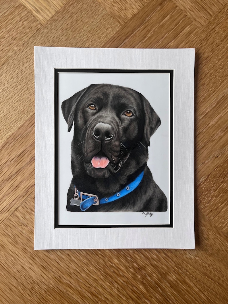 May include: A detailed portrait drawing of a black Labrador retriever with brown eyes and an open mouth showing a pink tongue. The dog wears a bright blue collar with a silver buckle and a small tag. The artwork is framed in a white mat with a black border.