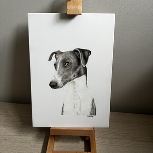 May include: A rectangular white print featuring a detailed charcoal and graphite drawing of an Italian Greyhound dog. The dog is shown from the chest up, facing left with dark grey ears and muzzle, and a white chest. A small signature is visible.