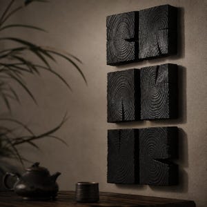 May include: A set of six square wall panels made from charred wood, arranged in two vertical columns of three. Each panel displays a prominent circular wood grain pattern in a deep black finish, highlighting the natural texture of the timber.