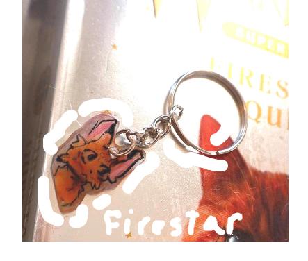 Handmade Warrior Cats Keychain || Warrior Cats Firestar - Etsy