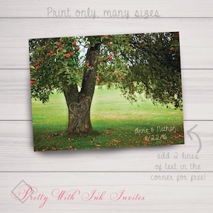 Real Carved Apple Tree Art Print -  Personalized Real Carved Tree - Gift for Couples