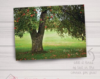 Real Carved Apple Tree Art Print -  Personalized Real Carved Tree - Gift for Couples