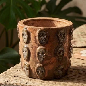May include: A terracotta-colored ceramic planter with a series of embossed skull faces around the exterior. The planter sits on a weathered wooden surface, with a large green plant in the background. The skulls are detailed with dark shading.