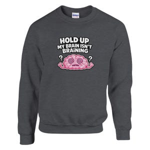 May include: Dark grey sweatshirt featuring the phrase "HOLD UP MY BRAIN ISN'T BRAINING" above a cartoon brain. The brain is pink with a white outline and has dizzy eyes, with question marks on either side.