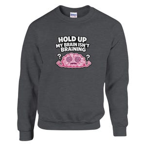 Brain Fog Isn't Braining Sweatshirt, Smart People Saying, Gift for ADHD Student Sweater Dark Heather