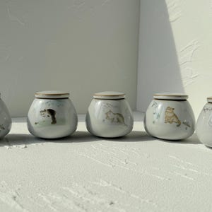 Hand-painted Cat Ceramic Jar – Cat Lover Kitchen Storage, Sugar Pot