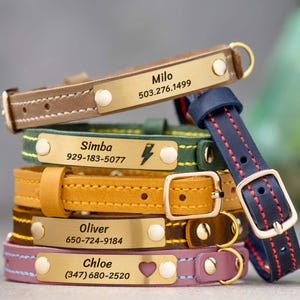 Personalized Leather Cat Collar | Custom Engraved Name Plate, Powder Pink