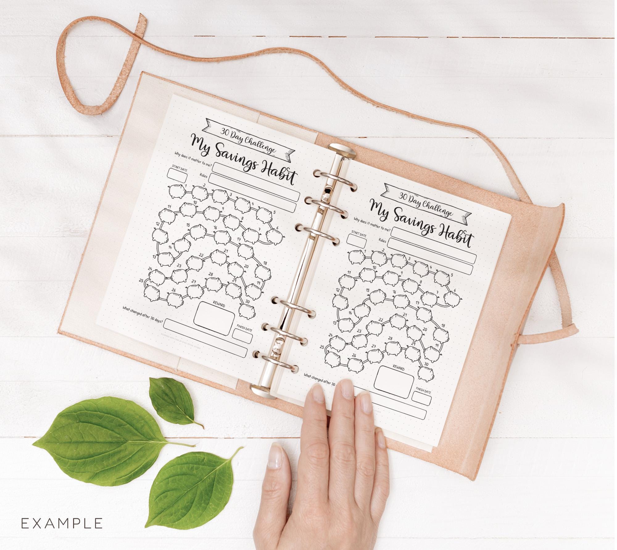 30 Day Savings Challenge Printable — My Savings Habit, Color in a Piggy ...