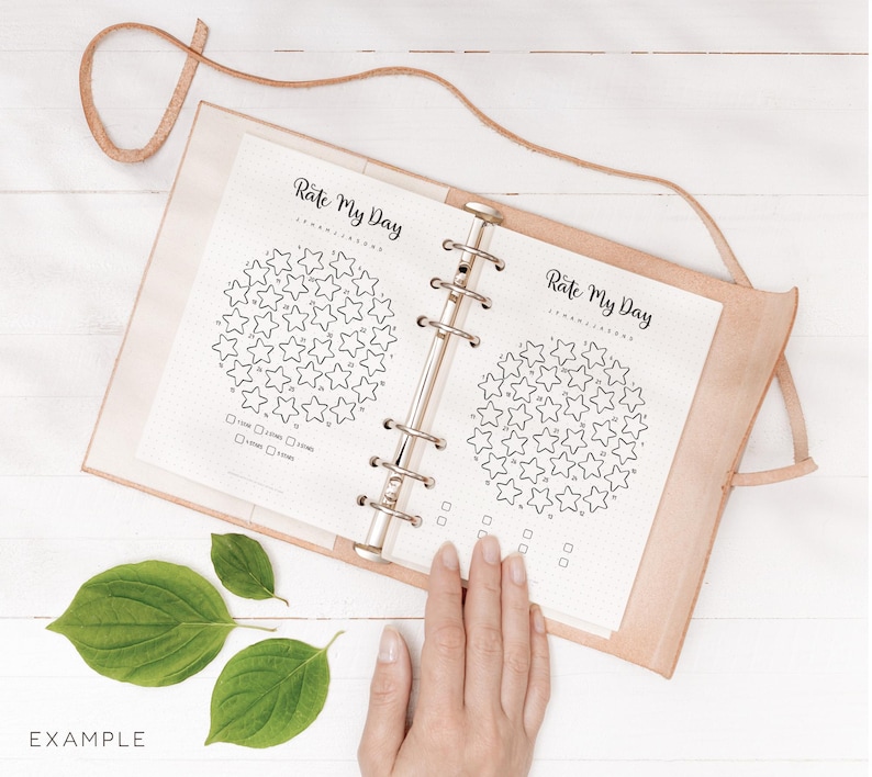 May include: Open leather journal with the text "Rate My Day" and star-shaped rating charts. The journal is open to a page with two star charts, with check boxes below. The word "EXAMPLE" is printed in the lower left corner.