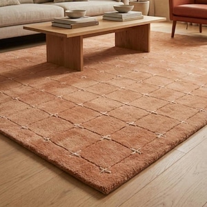 May include: A large, rectangular area rug in a warm terracotta orange hue, featuring a repeating grid pattern of squares. Each intersection of the grid is accented with a small, light-colored cross-stitch detail, creating a textured surface.