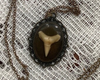 Shark tooth resin cameo necklace-long necklace