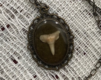 Shark tooth resin cameo necklace- long necklace
