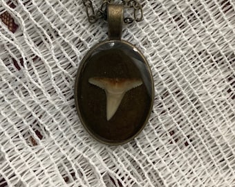Shark tooth resin cameo necklace