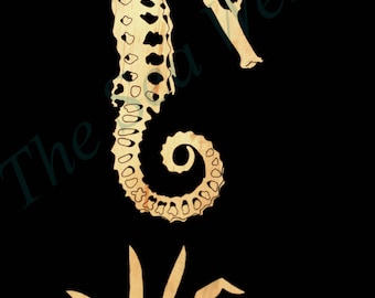 The Seahorse Skeleton art print 12" x 16"