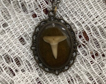 Shark tooth resin cameo necklace