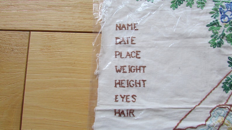 Vintage Newborn Embroidery Fabric Name Date Place Eyes Baby Swinging Girl