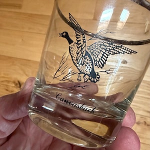 May include: A clear glass tumbler featuring a black graphic illustration of a flying canvasback duck. The glass has a metallic silver rim and the word Canvasback printed in black script lettering below the duck illustration.
