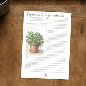 Care sheet for round-leaved Peperomia (Peperomia obtusifolia) | Digital botanical guide in PDF for plant lovers.