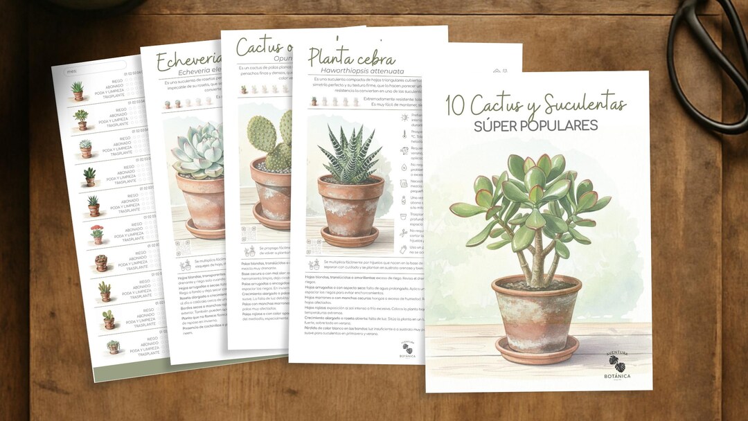 Pack of 10 Popular Cacti and Succulents | Digital PDF Care Guide ...