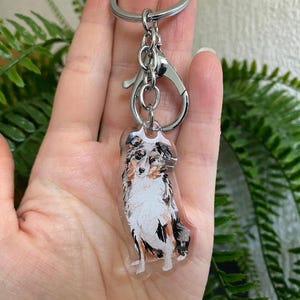 May include: A clear acrylic keychain featuring a sitting dog illustration. The dog has a white, brown, and black coat. The keychain has a silver-colored metal clasp and key ring.