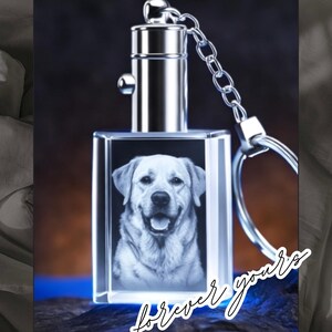 May include: A rectangular crystal keychain with a silver metal top and chain. The crystal displays a grayscale image of a smiling Labrador Retriever. The words "forever yours" are written in cursive.