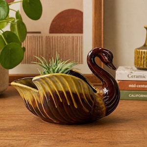May include: A ceramic swan planter with a brown and yellow glaze. The swan-shaped container holds a small green plant. The planter is on a wooden surface, with a green vase and books in the background.