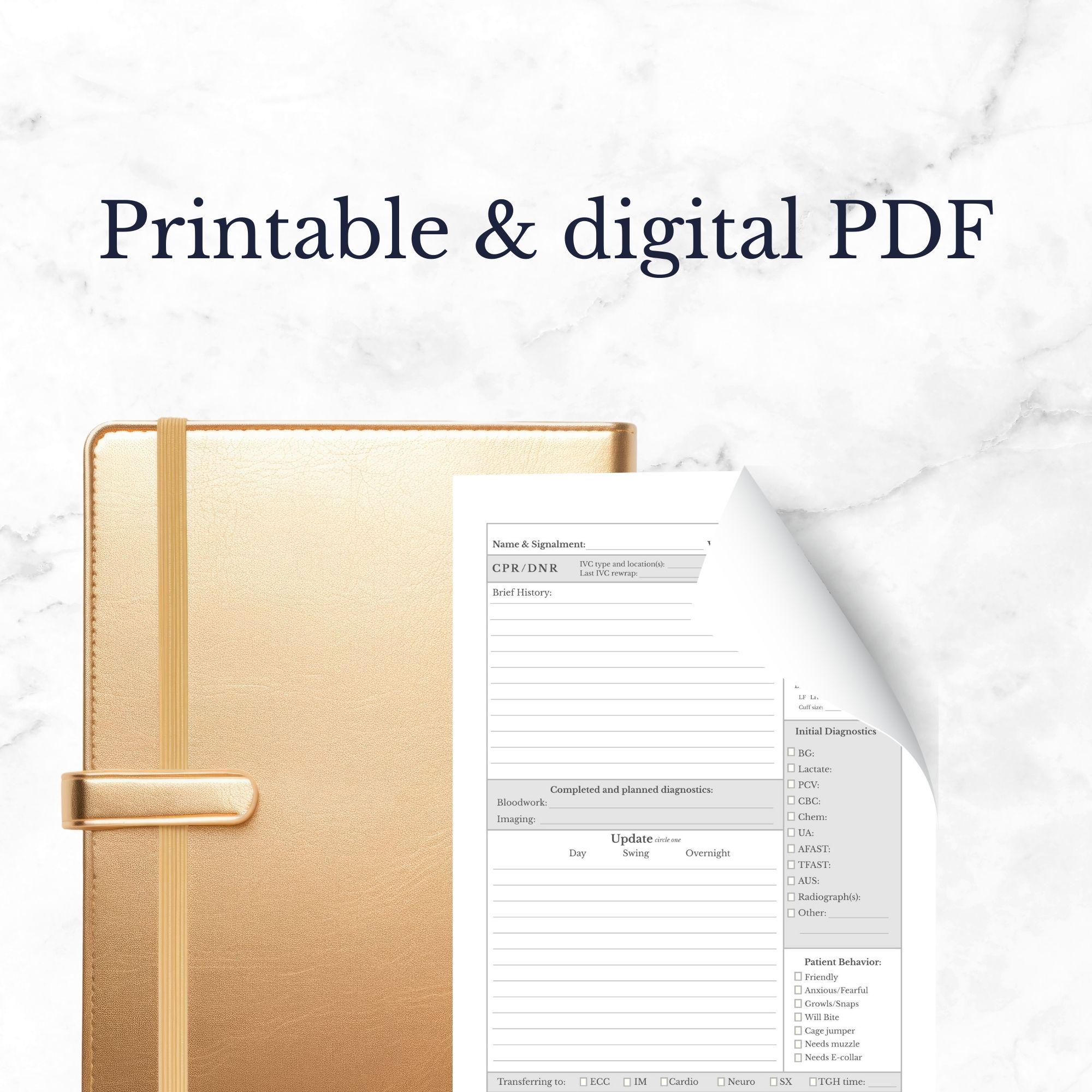 Veterinary Rounds Veterinary ICU Rounds Sheet | ICU Workflow Form | Printable & Digital ...