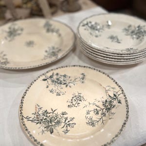 Vajilla antigua Terre de Fer HB & Cie “Moscou” | Plato grande, llano y hondo | Faïence francesa siglo XIX | Venta por pieza