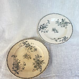 May include: Two round ceramic plates featuring a dark green floral transferware pattern on a cream-colored background. The plates have a decorative border of small flowers and a central arrangement of botanical illustrations with visible fine cracks.