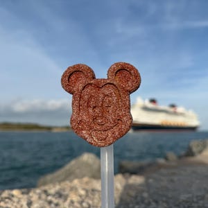 Könnte beinhalten: Ein brauner, Mickey Mouse-förmiger Leckerbissen auf einem weißen Stiel. Der Leckerbissen ist strukturiert und hat ein lächelndes Gesicht. Im Hintergrund ist ein Kreuzfahrtschiff zu sehen, mit dem Meer und dem Himmel in der Ferne.