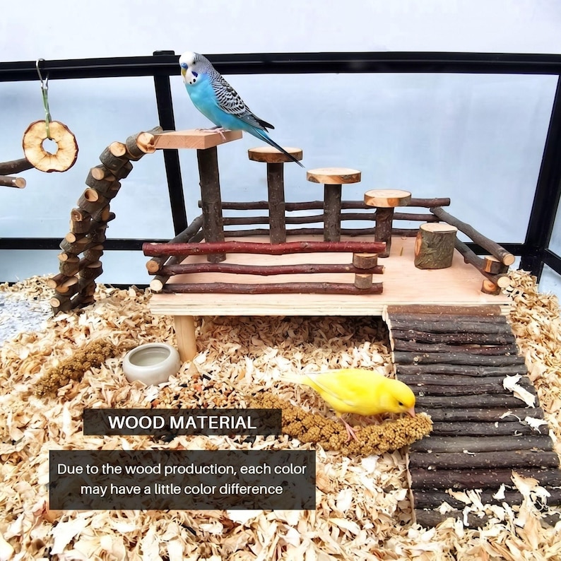 Natural Wood Bird Playground & Parakeet Play Gym, Tabletop Perch for ...