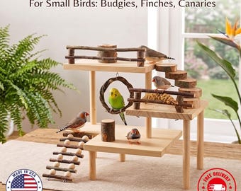 Natural Wood Bird Playstand for Budgies & Finches | Tabletop Parrot Gym | Handcrafted Parakeet Activity Center with Ladder Swing and Perch