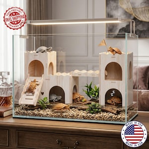May include: A glass terrarium with a wooden castle structure inside, housing several turtles. The castle has archways, a ramp, and a flag. The tank is lit by an overhead light and filled with gravel and plants. The tank is on a wooden surface.