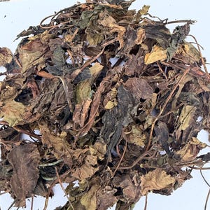 Ewe Lapa Pupa Leaves, Jatropha Curcas Red Variety