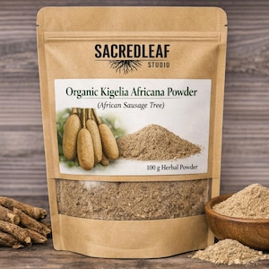 Pó puro do fruto de Kigelia africana, árvore-da-salsicha africana, para infusão e tintura de chá para melhorar o desempenho masculino.
