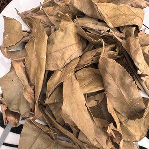 以下が含まれることがあります： 白いお皿の上に、乾燥した茶色の葉の山。葉は様々な茶色の色合いで、表面はざらざらしています。お皿はシンプルなデザインです。