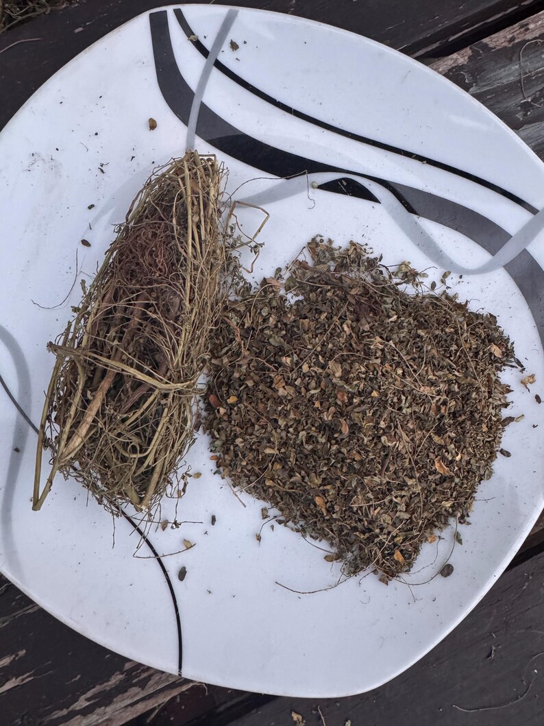 Dried Phyllanthus Amarus Leaves: Ewe Eyin Olobe Stone Breaker, Herbal ...
