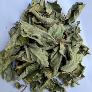 May include: A pile of dried, green leaves with visible veins and stems. The leaves have a textured appearance and vary in size, with some curled edges. The image is taken against a white background, highlighting the natural color and details of the leaves.