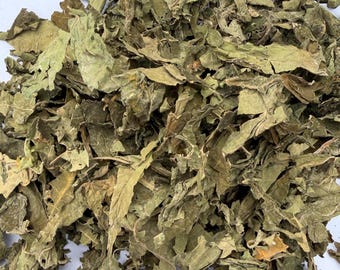 Hojas de papaya orgánicas secas para infusión de hierbas, recolectadas en estado silvestre.