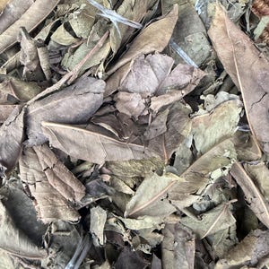 Könnte beinhalten: Ein Set aus drei Keramikbechern mit gesprenkelter, matter Oberfläche. Die Becher sind in Creme-, Hellgrau- und Dunkelgrautönen gehalten. Jeder Becher hat ein schlichtes, minimalistisches Design, ideal für Kaffee oder Tee.