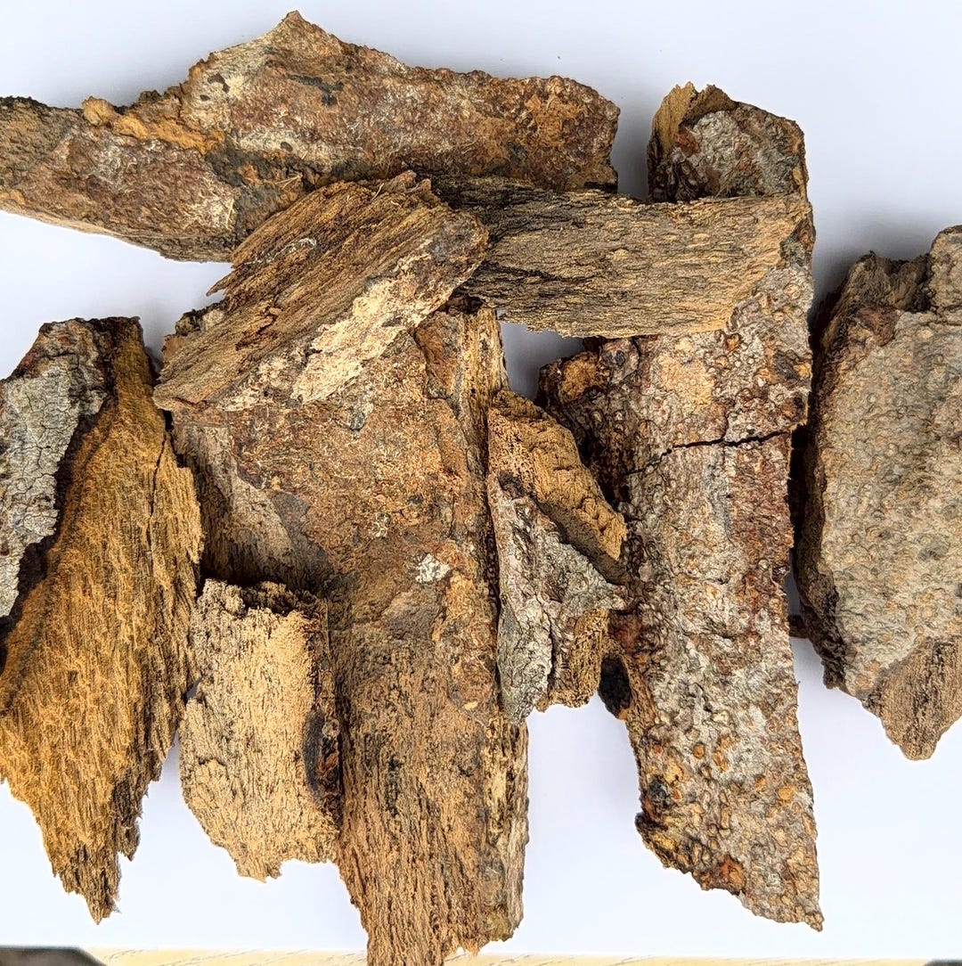 Highiroko Tree Iroko Tree Bark (milicia Excelsa) - Herbal Remedy and Spiritual Uses - Etsy