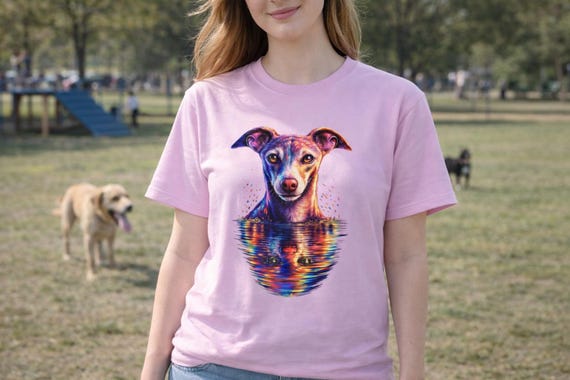 Italian Greyhound Rainbow Sunset Shirt, Comfort Colors Vintage Dog Tee
